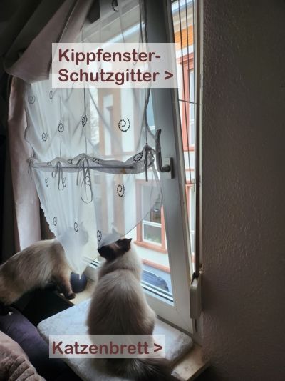 Zwei süsse Katzen sitzen an einem Fenster mit speziellem Fensterbrett und Kippfenster-Sicherungsgitter