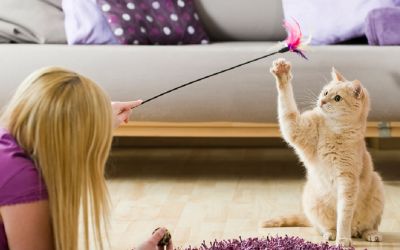 Junge Frau auf dem Fussboden im Wohnzimmer liegend, spielt mit ihrer Katze.