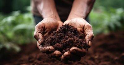 In der zur Schaufel geformten Händen eines Hobbygärtners befindet sich lockere Blumenerde