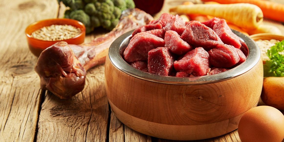 Schale mit frischem Fleisch, Eiern und Gemüse - BARF Ernährung