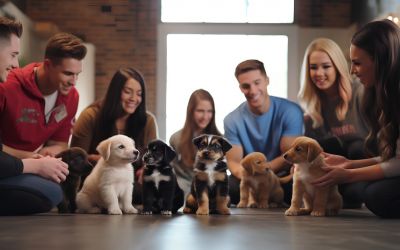 Gruppe junger Menschen mit Ihren Welpen