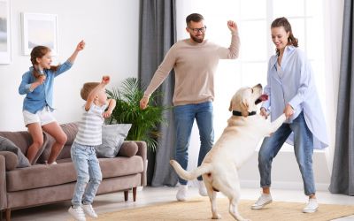 Junge Familie mit Hund spielen im Wohnzimmer